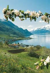 Fiordos Noruegos