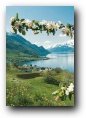 Fiordos Noruegos
