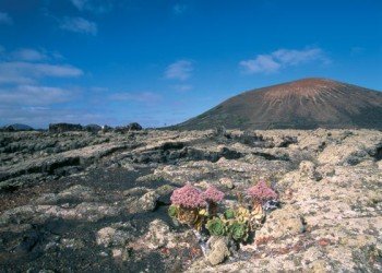 Lanzarote