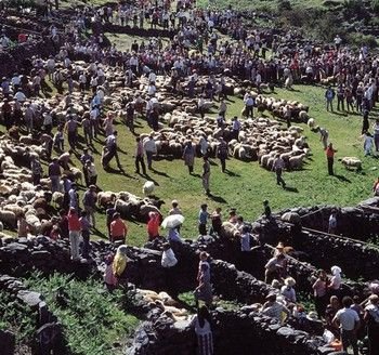 Madeira