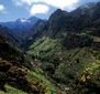 Madeira