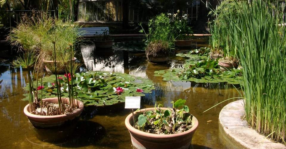 Valencia - Jardín Botánico