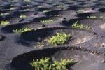 Lanzarote
