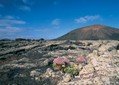 Lanzarote