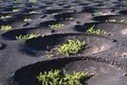 Lanzarote